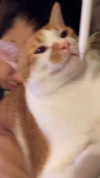 jiw_____n Altpins Profile Picture