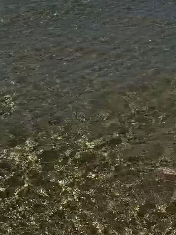 edenharper archive video preview