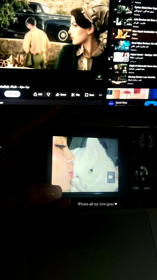 lostdollyly archive video preview
