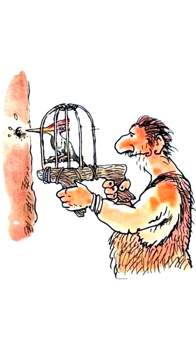 assoolin assoolin archive video