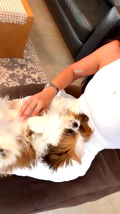 noammalka___ noammalka___ archive video