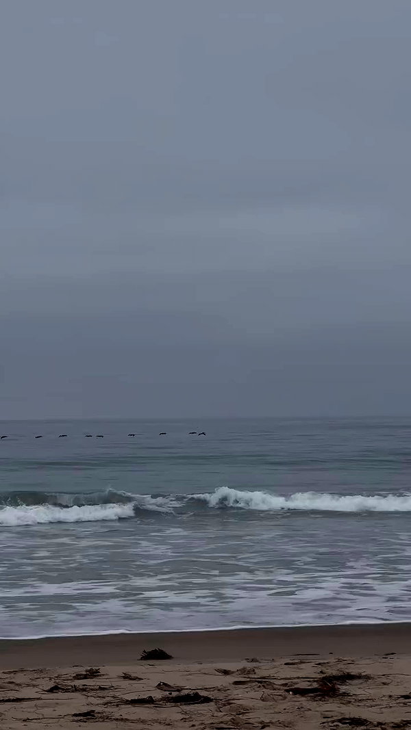 indenavarrette archive video preview