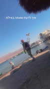 avisaramos Altpins Profile Picture