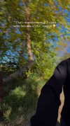gloriastonelake Altpins Profile Picture