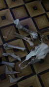ker888nyz Altpins Profile Picture