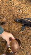 miikheeva_stasiiya Altpins Profile Picture