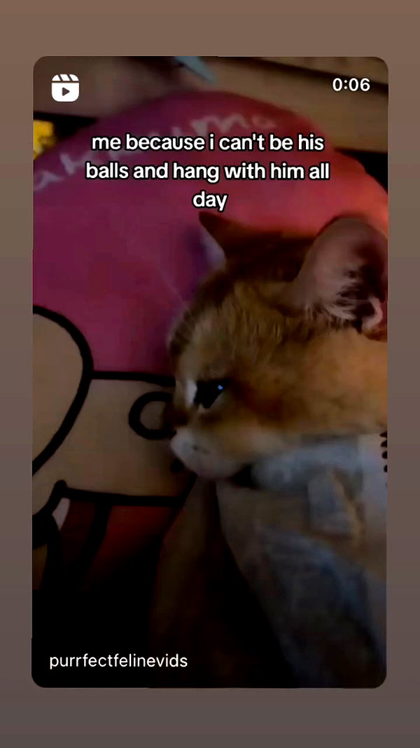 babynympho_archive archive video preview