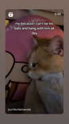 babynympho_archive Altpins Profile Picture