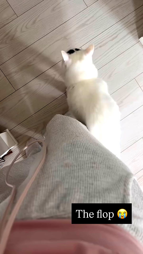 peachmilky_ archive video preview