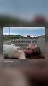shunli__mei Altpins Profile Picture