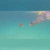 auddk_77 Altpins Profile Picture