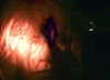 bugz4brainz Altpins Profile Picture