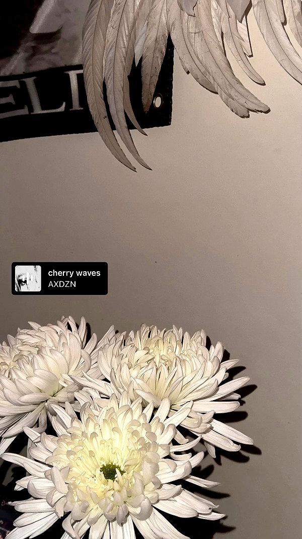 apathy.impress archive video preview