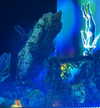 michalcohen___ Altpins Profile Picture