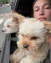 haileybieber Altpins Profile Picture