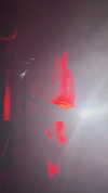 bat.wiings Altpins Profile Picture