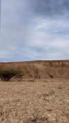 _hilaluu Altpins Profile Picture