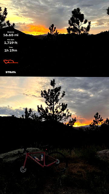 thelizzyporter thelizzyporter archive video