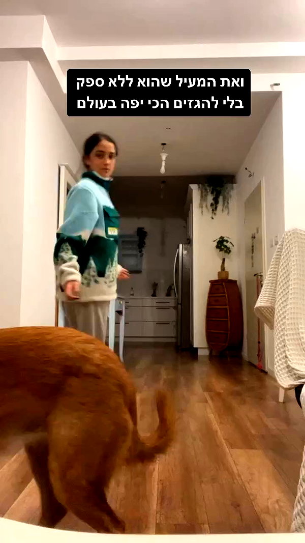 yuval_raz archive video preview