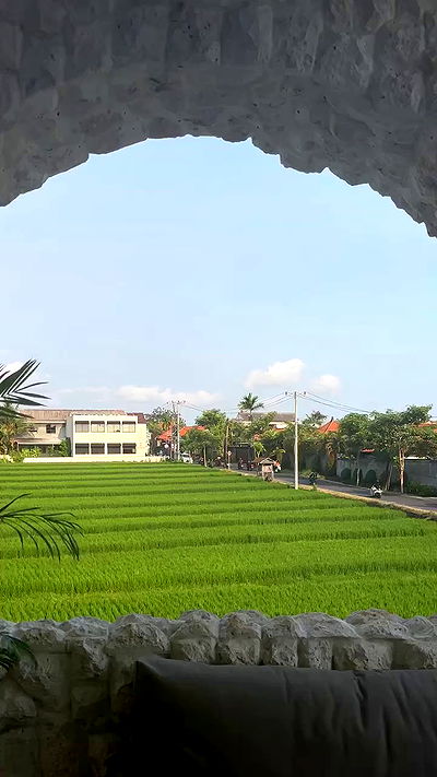 taylor.creeden taylor.creeden archive video