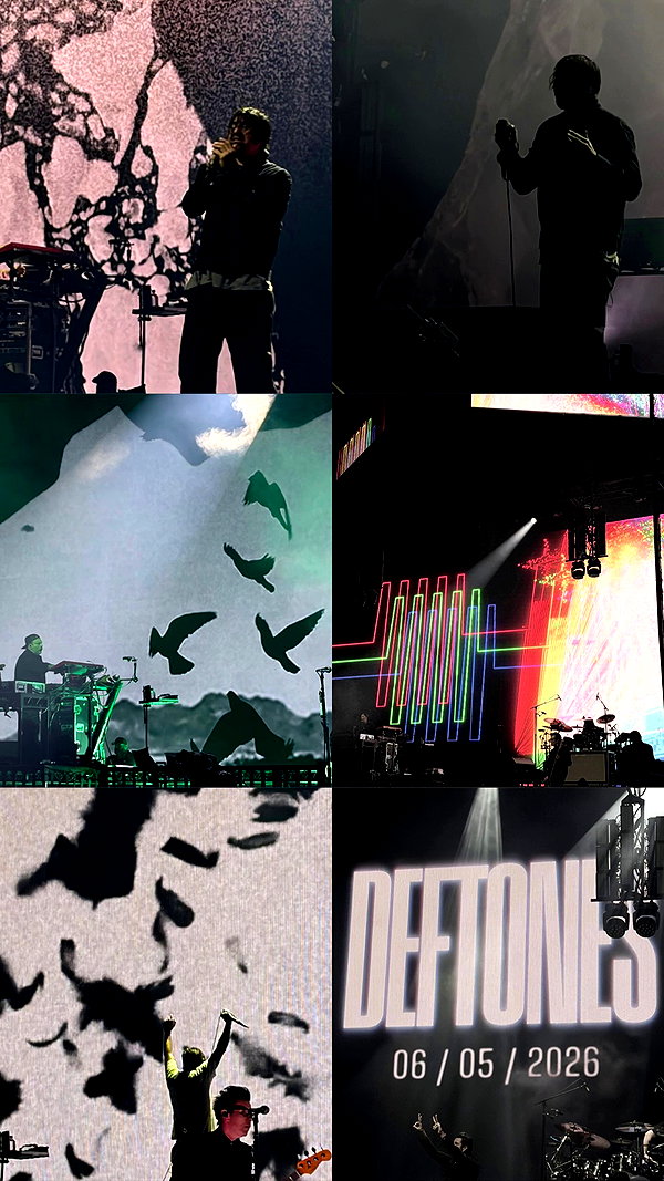 livindeadyaz archive video preview