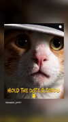pepper_pink1 Altpins Profile Picture