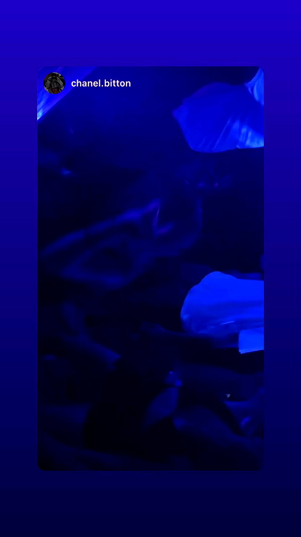 shaharo__._ archive video preview