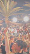 michalcohen___ Altpins Profile Picture