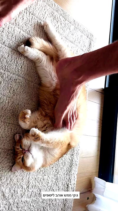 itsilanosh itsilanosh archive video