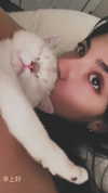 rachelchaleff Altpins Profile Picture