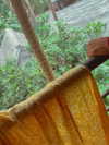 ronyida_ Altpins Profile Picture