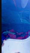 _satomort_ Altpins Profile Picture