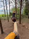 vampira_swami Altpins Profile Picture