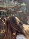 mishel_d_ Altpins Profile Picture