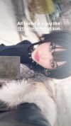 imskirby Altpins Profile Picture