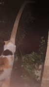 eitan.420 Altpins Profile Picture