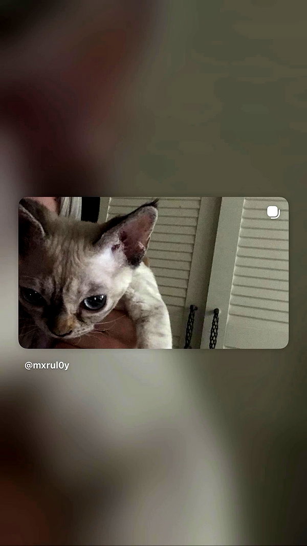 mxrul0y archive video preview