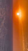 libby_reut Altpins Profile Picture