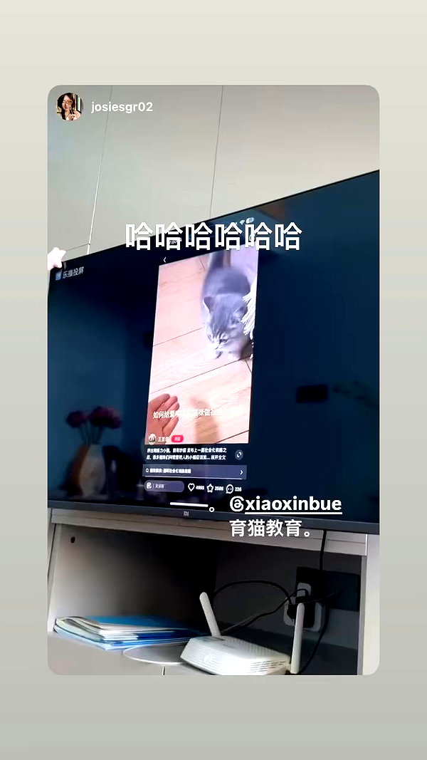 xiaoxinbue archive video preview