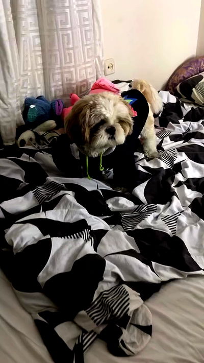 _._dianush._ _._dianush._ archive video