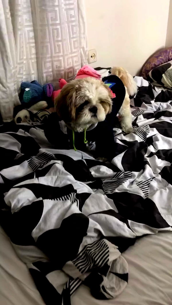 _._dianush._ archive video preview