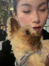 kelseydopegal Altpins Profile Picture