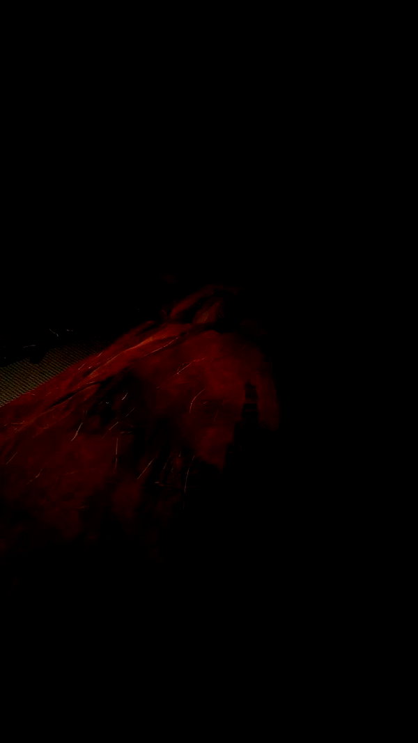 hansontjung archive video preview