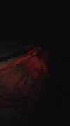 hansontjung Altpins Profile Picture