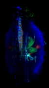 lovemeize Altpins Profile Picture