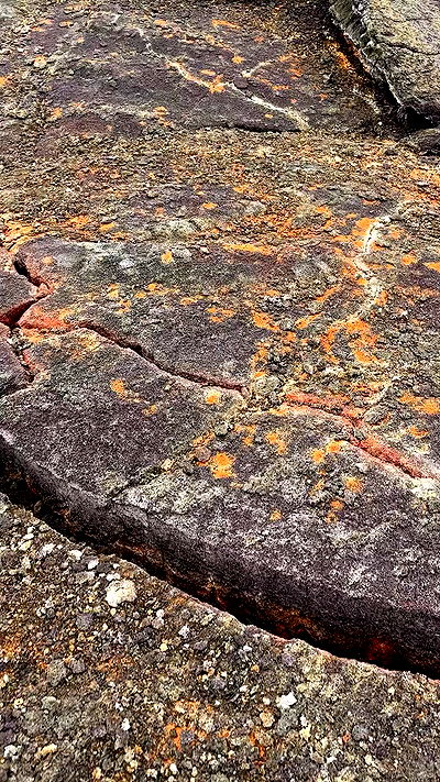 taylor.creeden taylor.creeden archive video