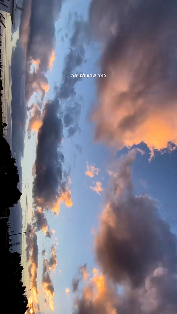 yulia.isakov archive video preview