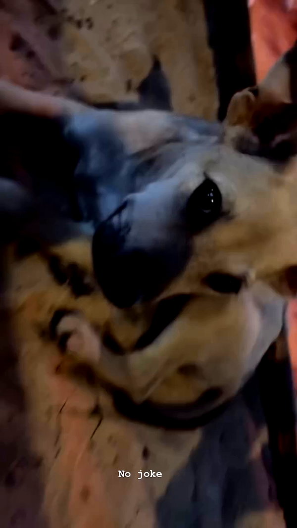 talya.fridland archive video preview