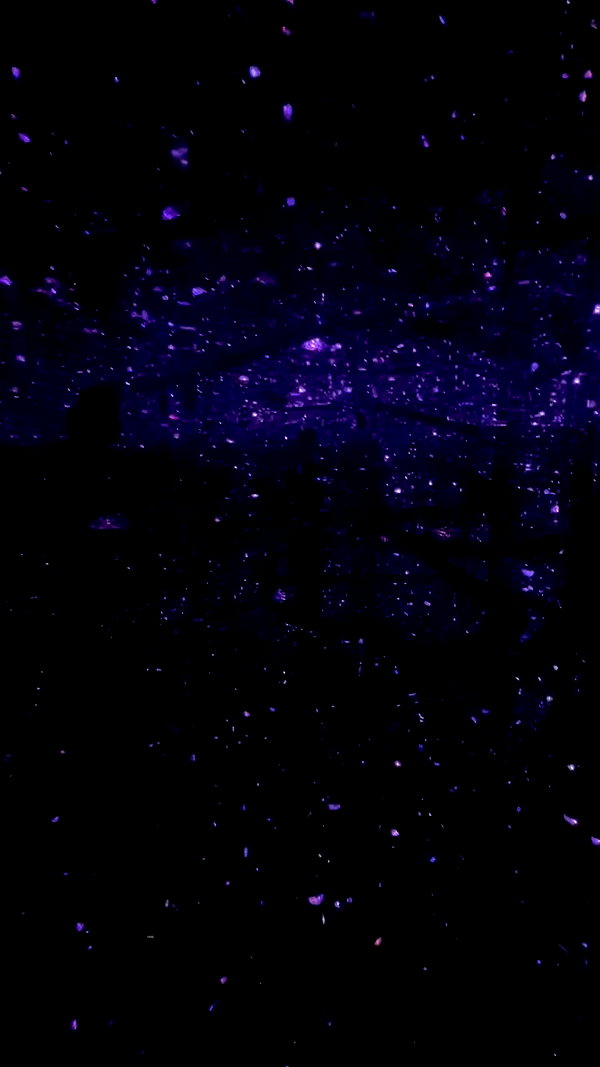 notchicore archive video preview