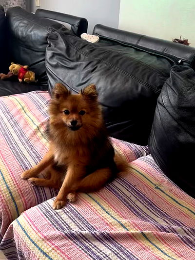 mishel116 mishel116 archive video